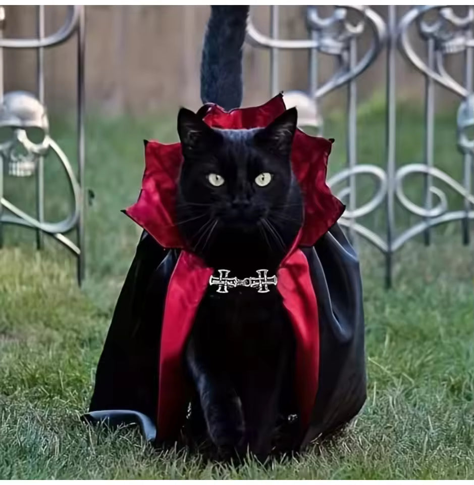Costume Vampire Halloween pour Chat