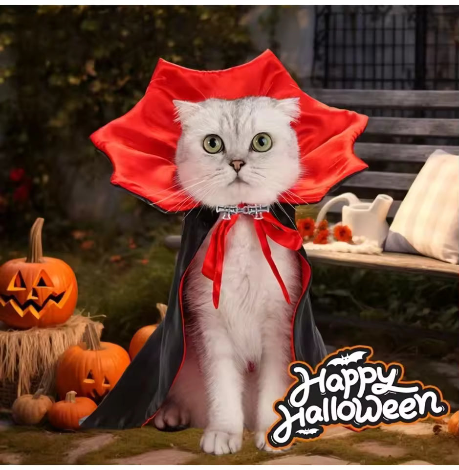 Costume Vampire Halloween pour Chat