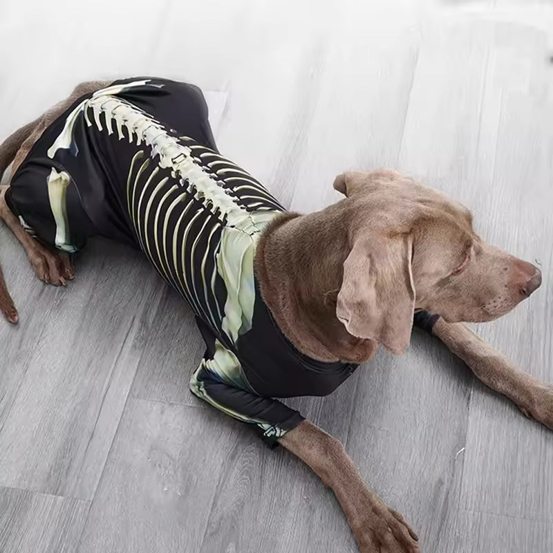 Costume Squelette Halloween pour Grand Chien