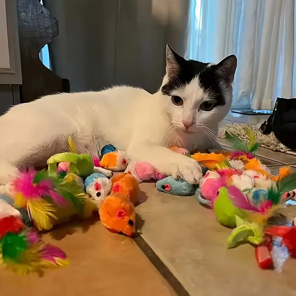Lot de Jouets pour Chat – Peluches & Plastique