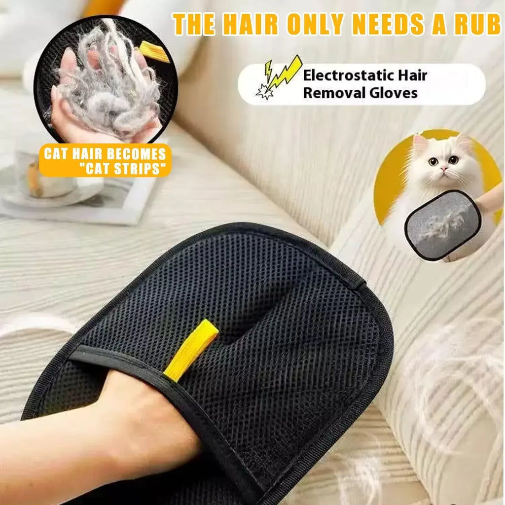 Brosse Anti-Poils