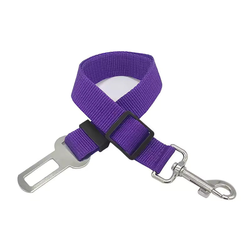 Ceinture de Sécurité Voiture pour Chien et Chat