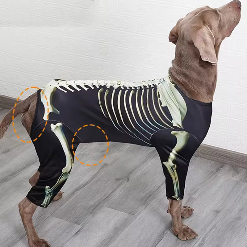 Costume Squelette Halloween pour Grand Chien