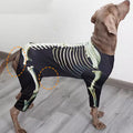 Costume Squelette Halloween pour Grand Chien