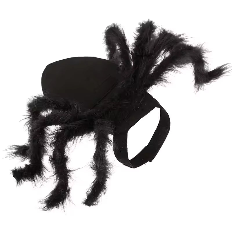Costume Araignée Halloween pour Chien & Chat