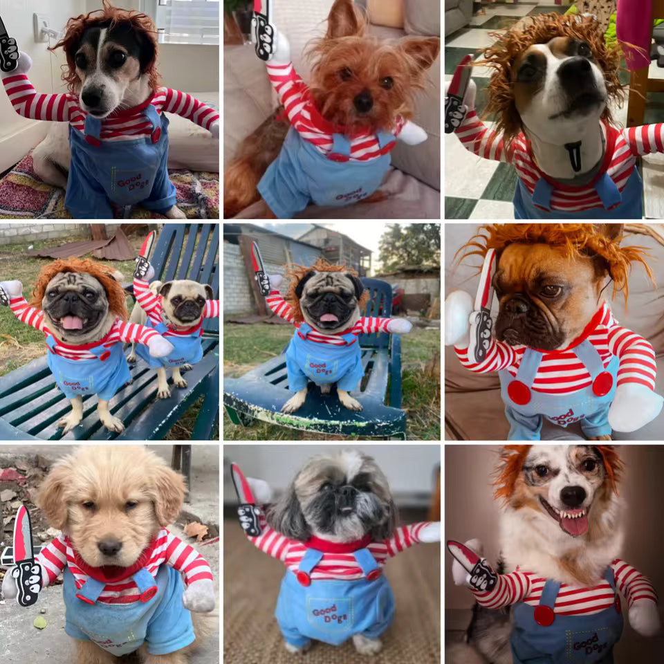 Costume Cosplay pour Chat et Petit Chien