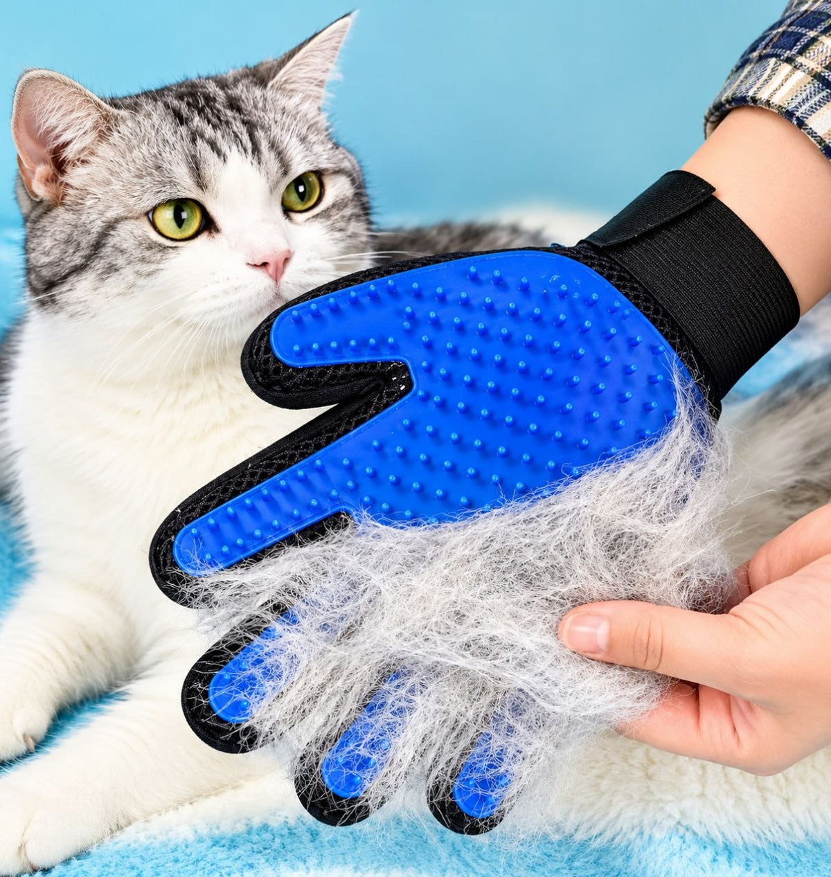 Kit de Jeu & Soin
