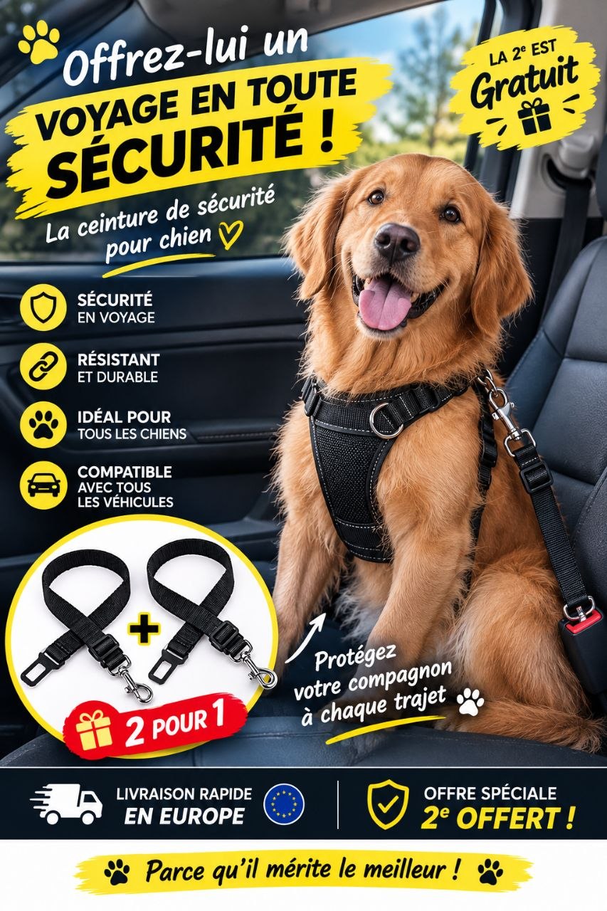 Ceinture de Sécurité Premium — 1 ACHETÉE = 1 OFFERTE !
