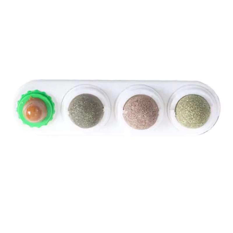 Boule Masticatoire 4-en-1