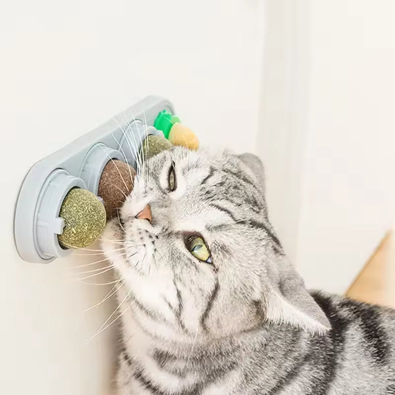 Ultimate Cat Toy Kit – Interactive Catnip Toy + 20 Bonus Toys & Grooming Glove