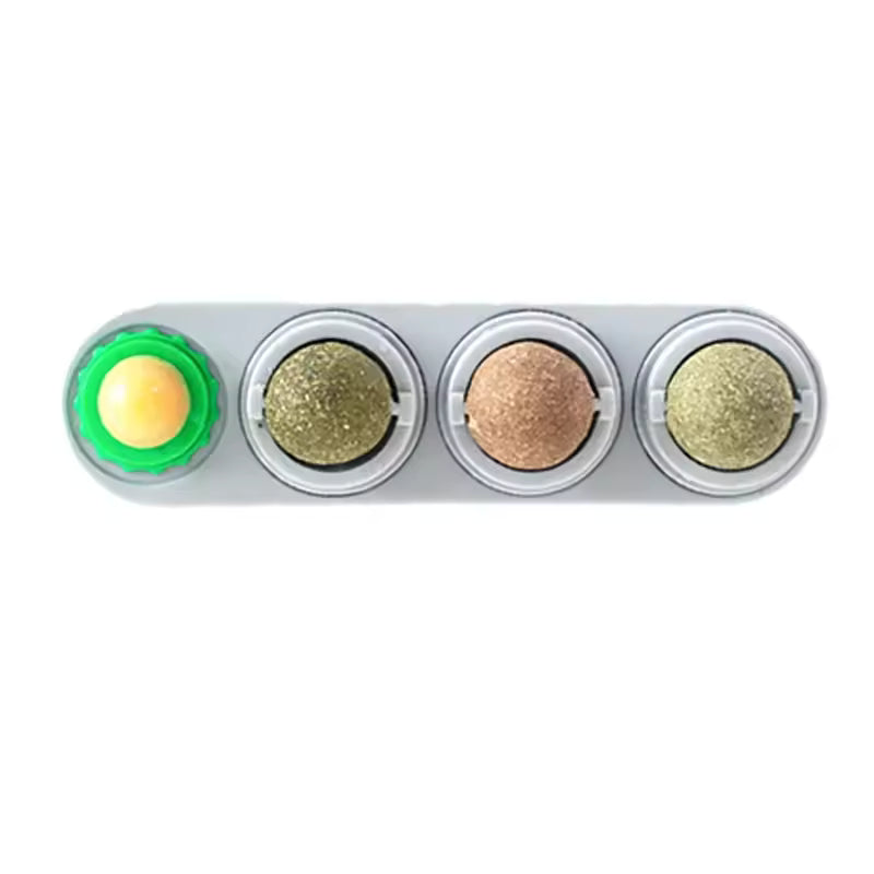 Boule Masticatoire 4-en-1