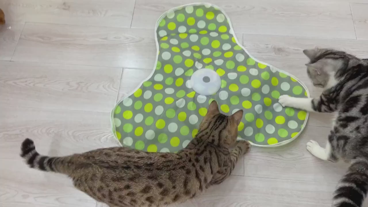 Jouet Interactif Cache-Cache pour Chat – Souris Mobile