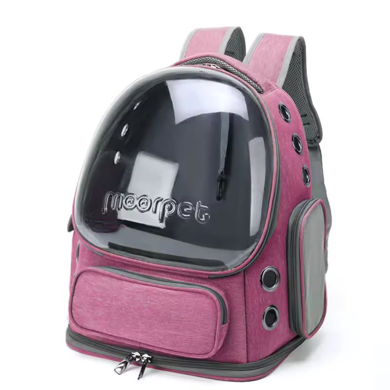 Sac à Dos Transport Transparent pour Chat et Petit Chien
