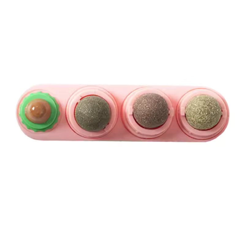 Boule Masticatoire 4-en-1
