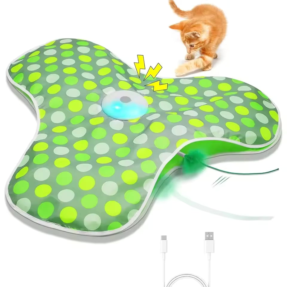 Jouet Interactif Cache-Cache pour Chat – Souris Mobile