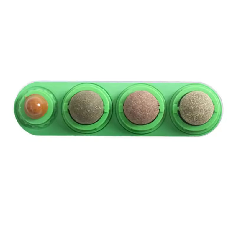 Boule Masticatoire 4-en-1