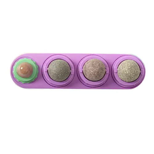 Boule Masticatoire 4-en-1
